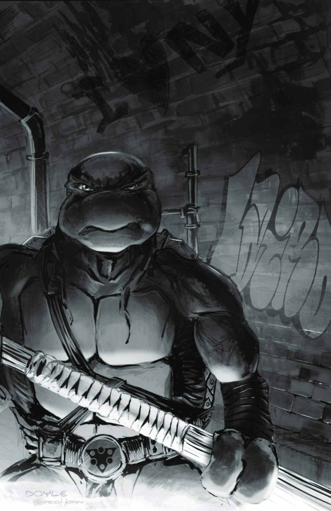 Teenage Mutant Ninja Turtles #150 - Lightning Comix Exclusive and Incentive Bundle - LIGHTNING COMIX