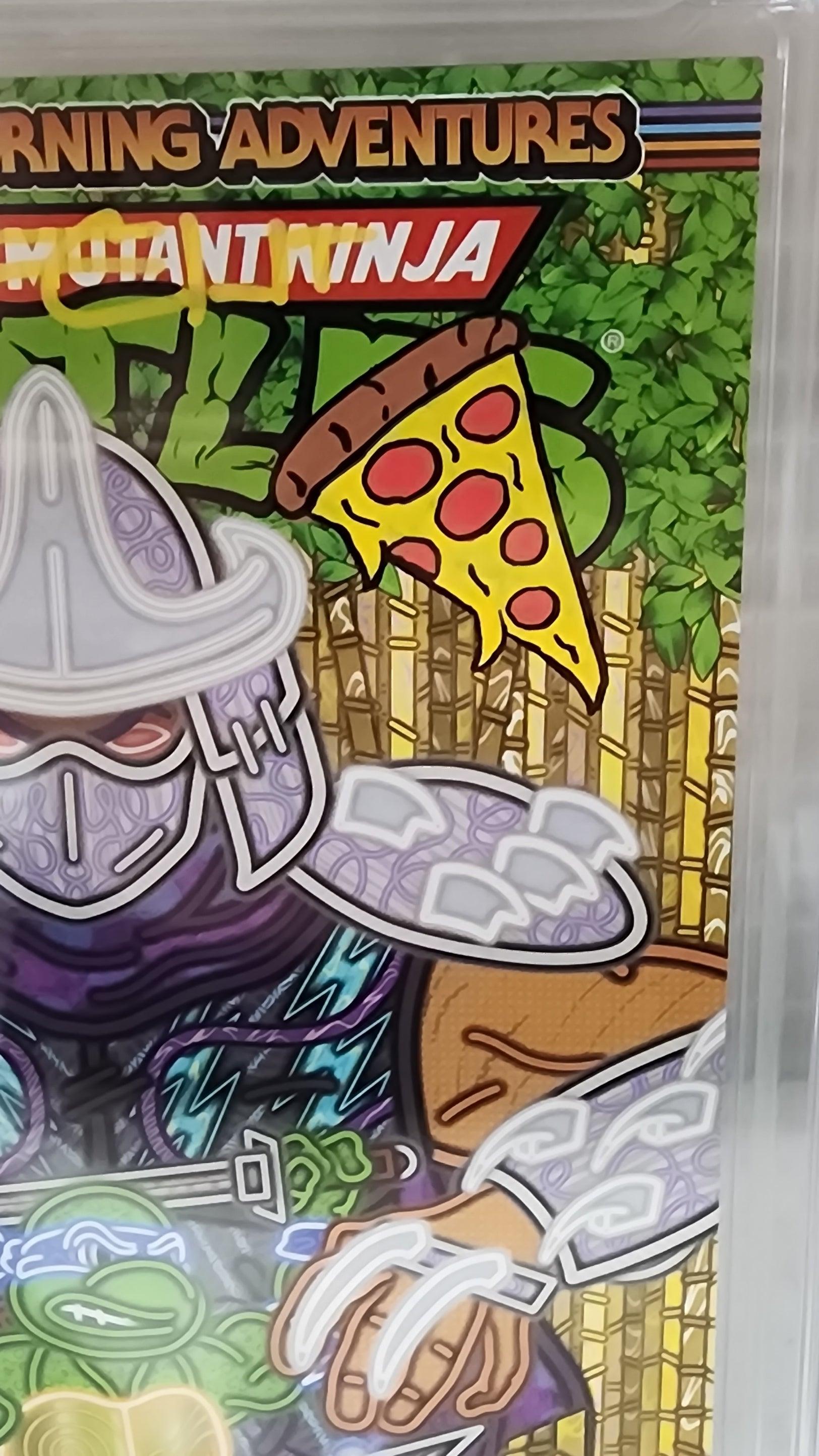 TEENAGE MUTANT NINJA TURTLES: SATURDAY MORNING ADVENTURES #10