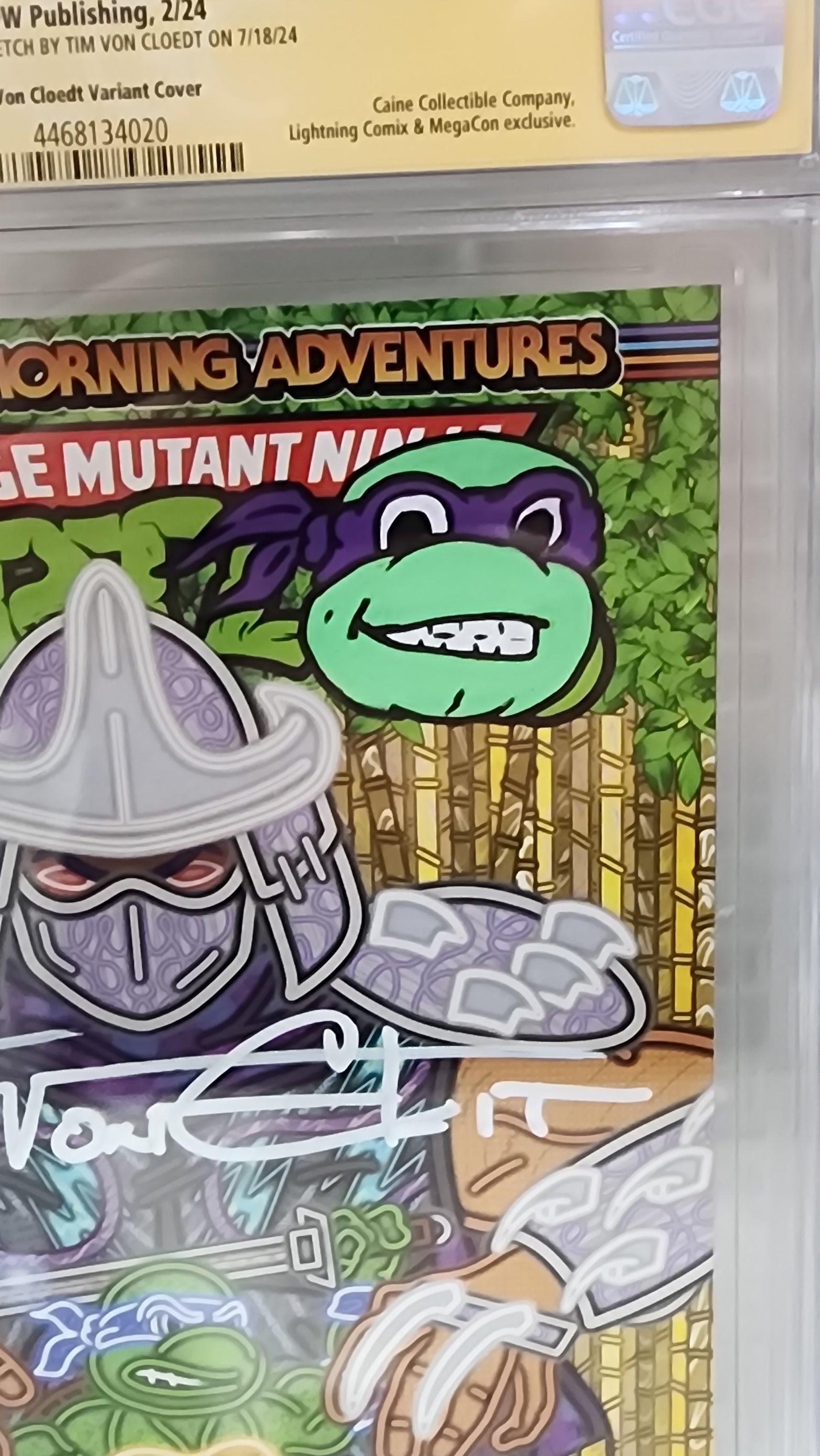 TEENAGE MUTANT NINJA TURTLES: SATURDAY MORNING ADVENTURES #10